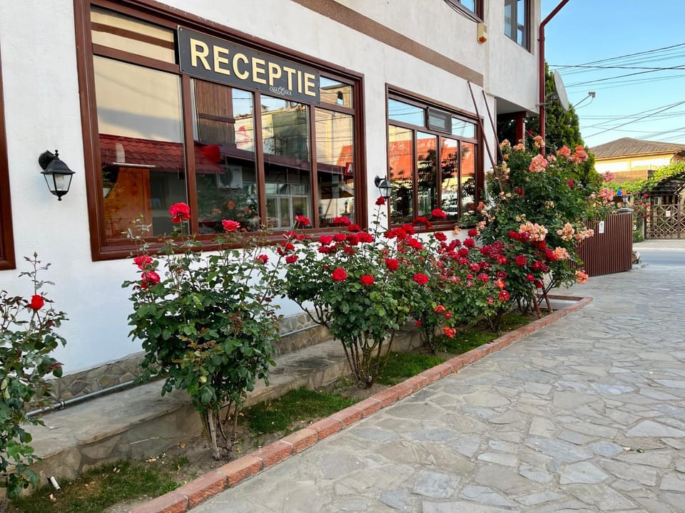 Property building, Spring, Day, Garden, Street view