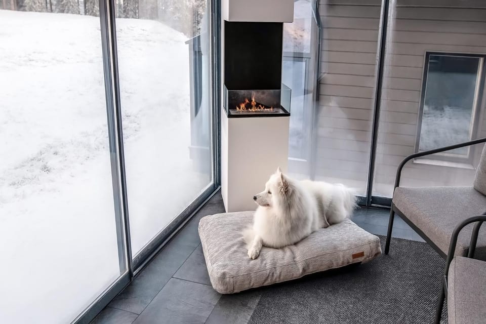 Patio, Seating area, pet friendly