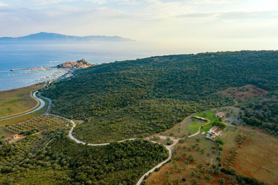 Bird's eye view, View (from property/room)