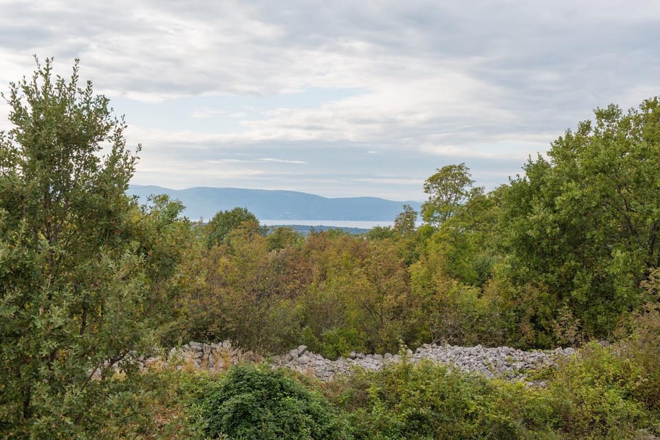 Natural landscape, Garden, Garden view, Sea view