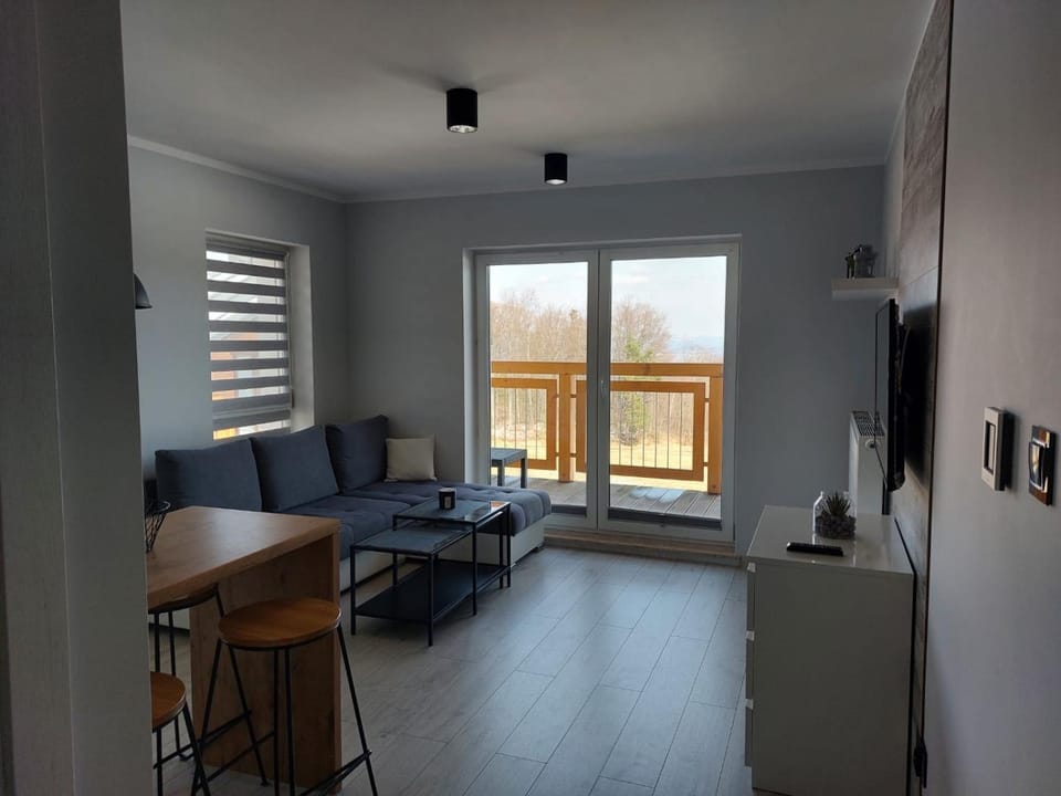 Dream Apart Apartment in Lower Silesian Voivodeship