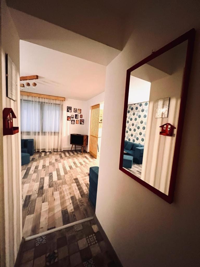 Apartament Aretta Apartment in Brasov