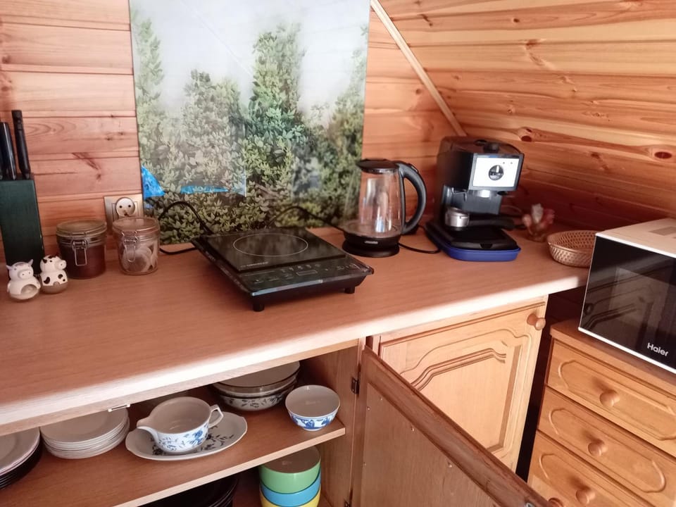 Coffee/tea facilities, Kitchen or kitchenette, minibar