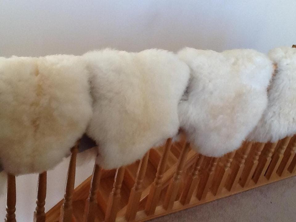 The Antlers Bed and Breakfast in Scotland