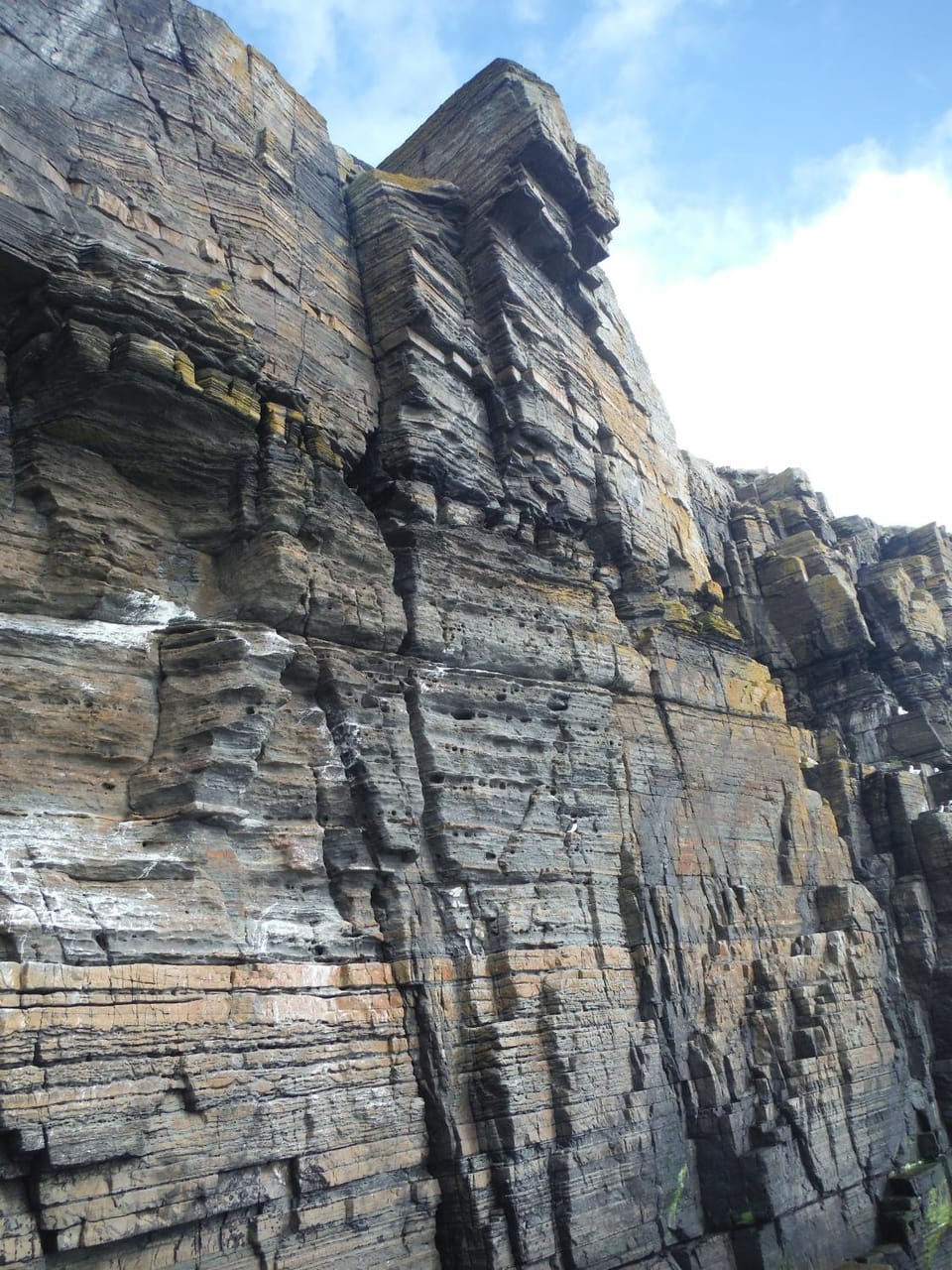 The Antlers Bed and Breakfast in Scotland