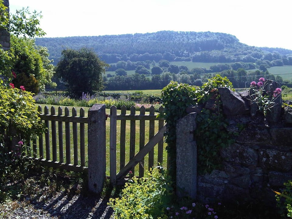 View (from property/room), Area and facilities