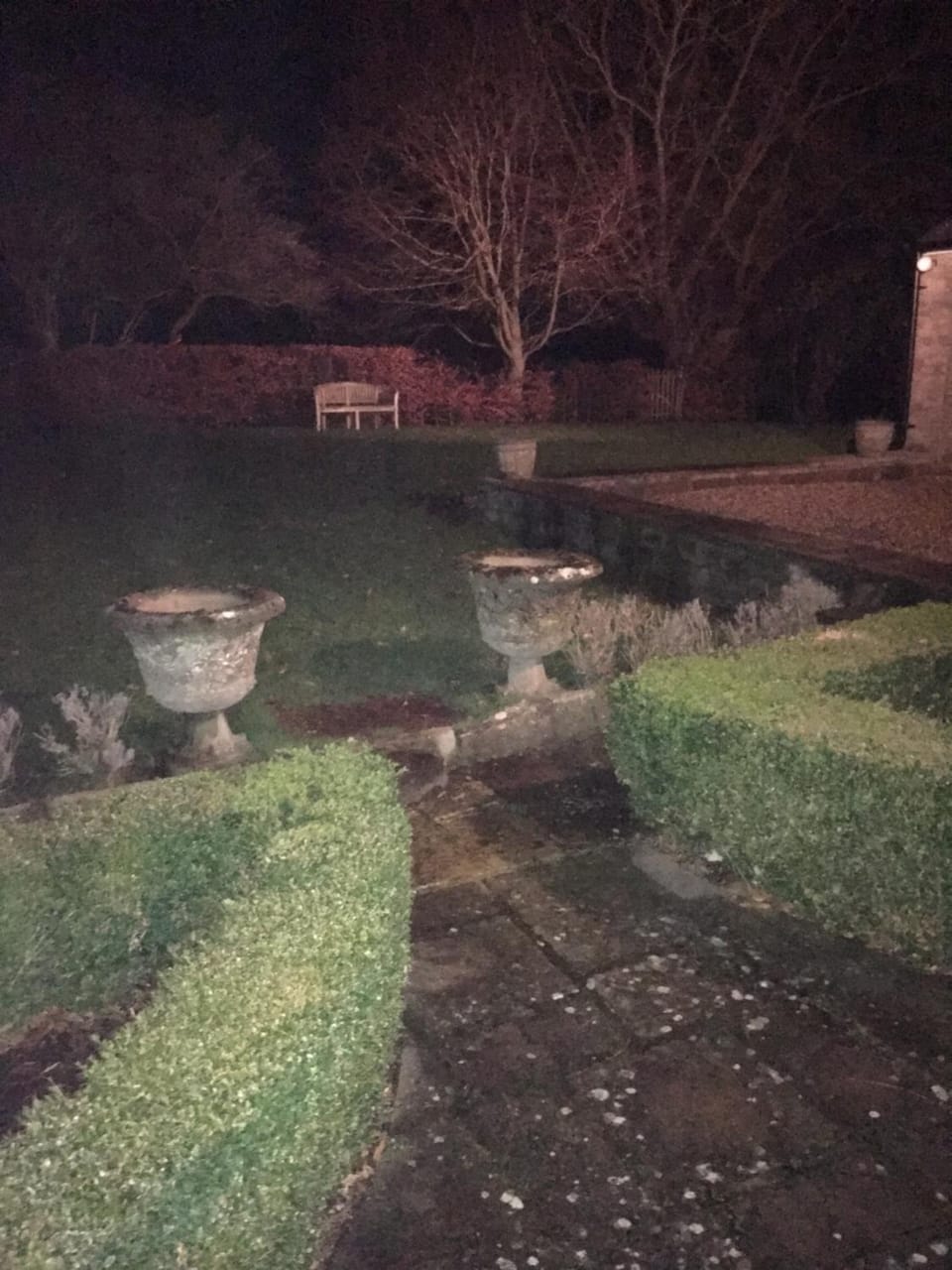 Night, Garden view