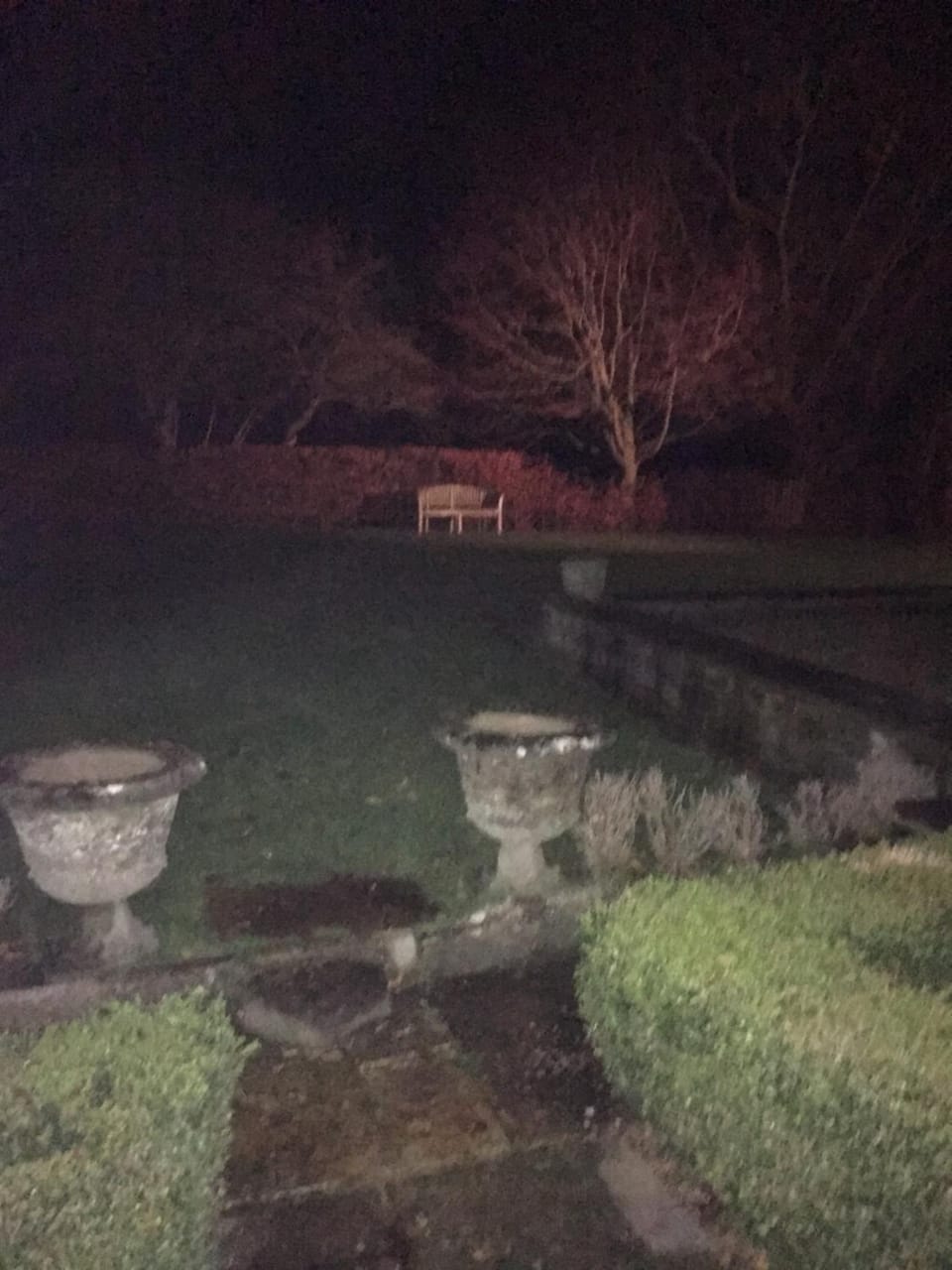 Night, Garden