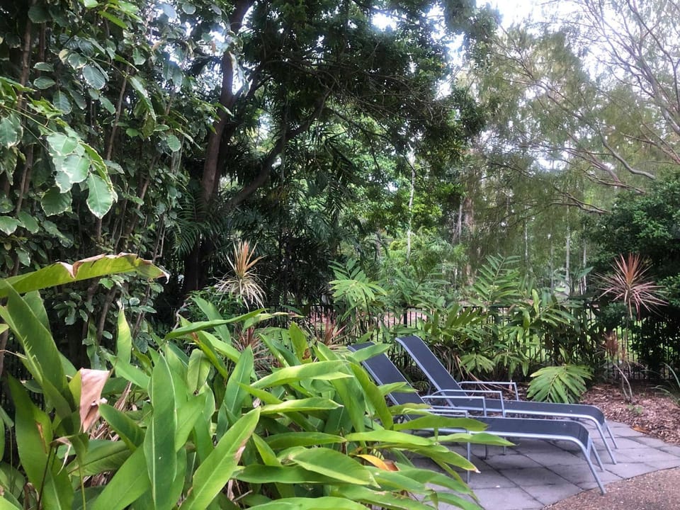 Pool view, Swimming pool, Swimming pool