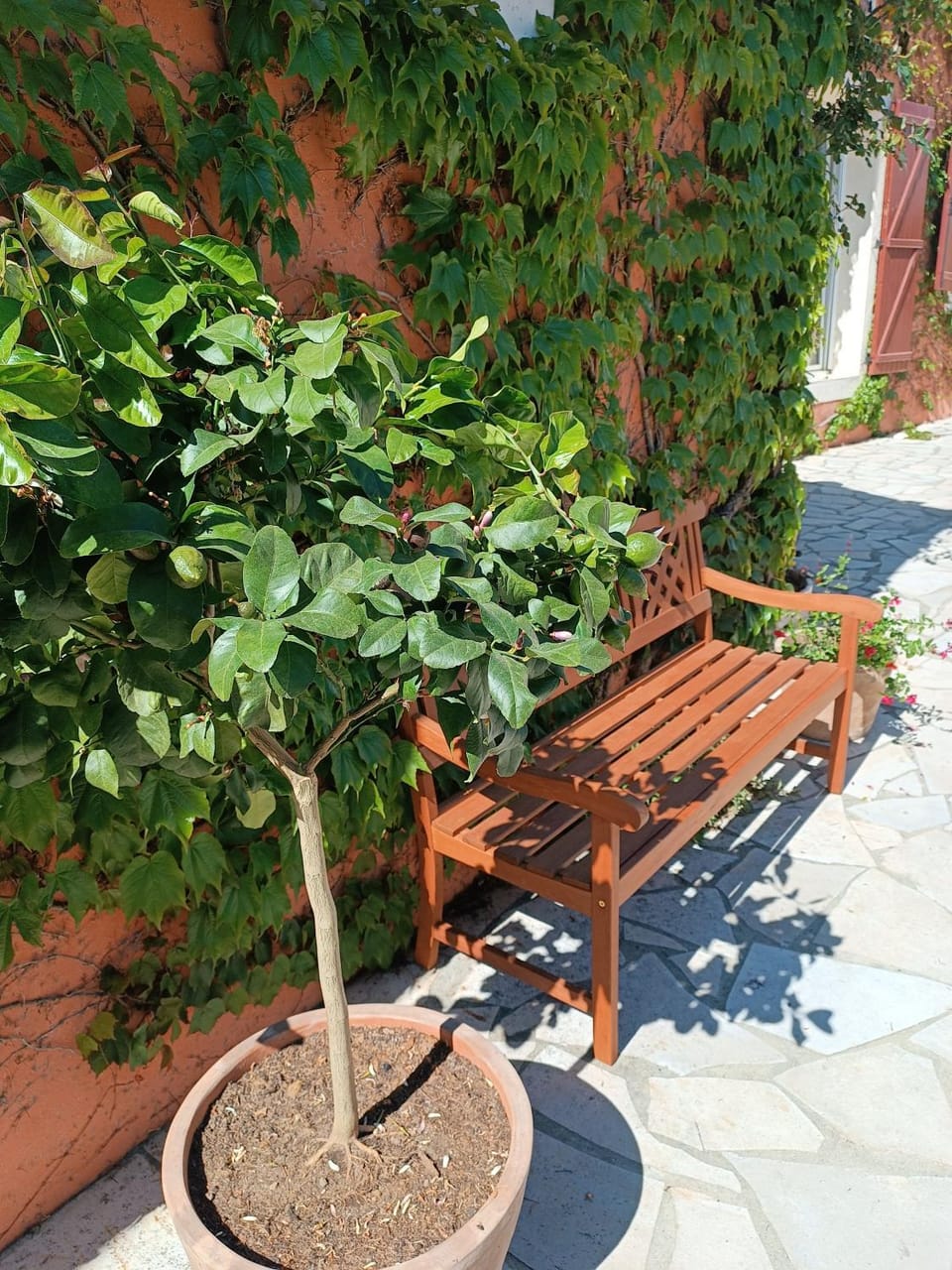Aux Berges du Canal Bed and Breakfast in Occitanie