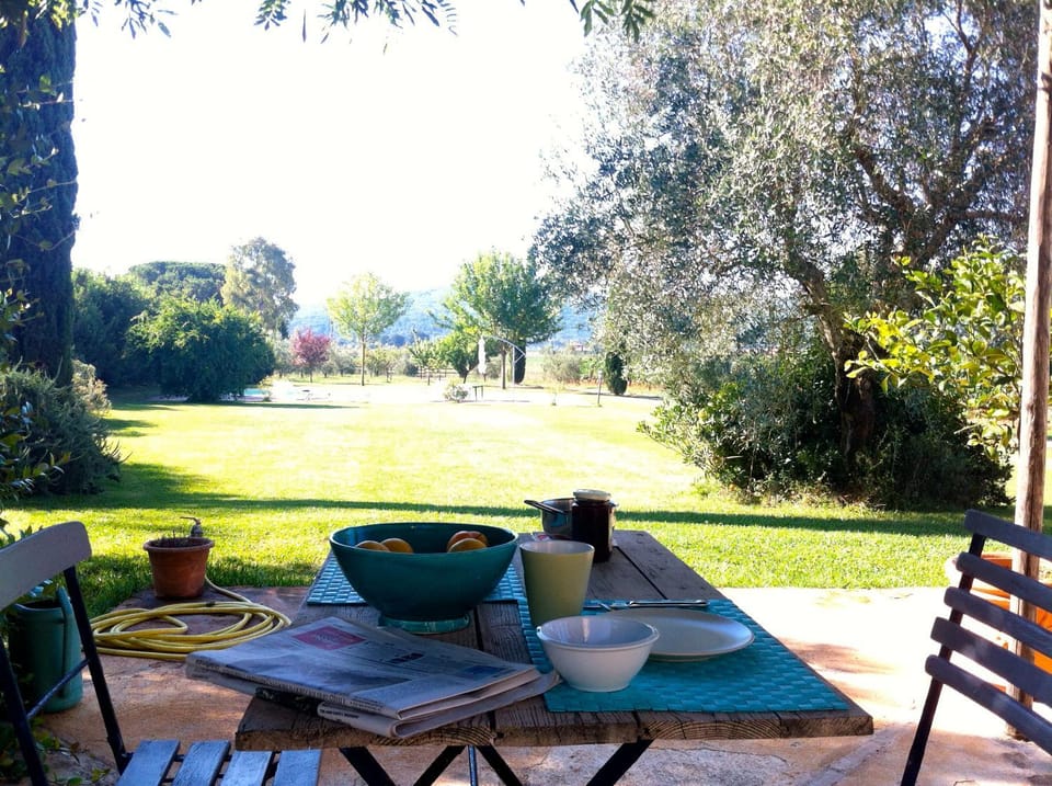 Garden view