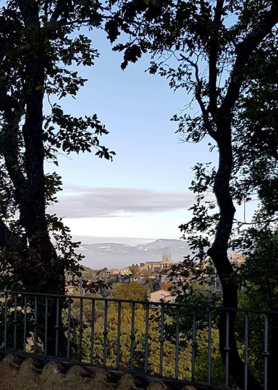 Mas du Kairos - Gite Romarin House in Provence-Alpes-Côte d'Azur