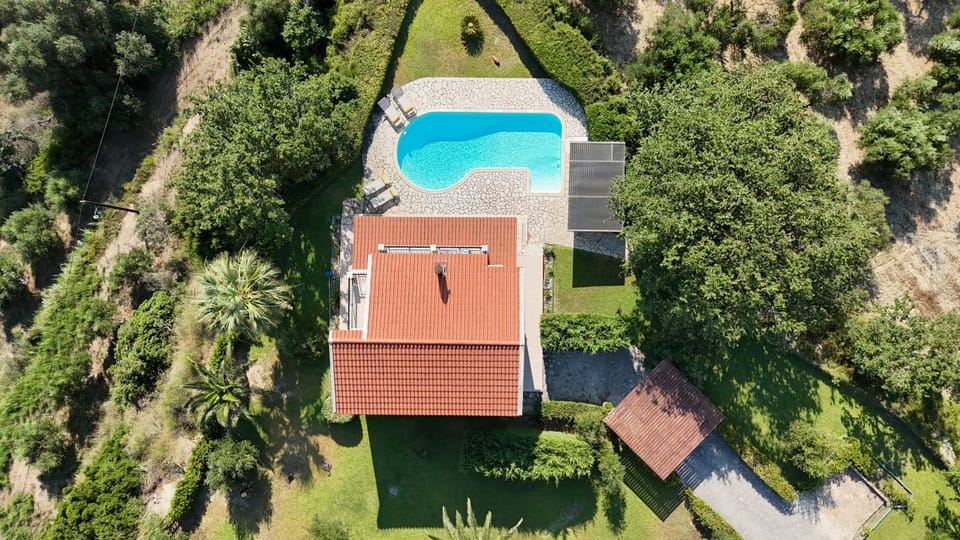 Patio, Garden, Garden view