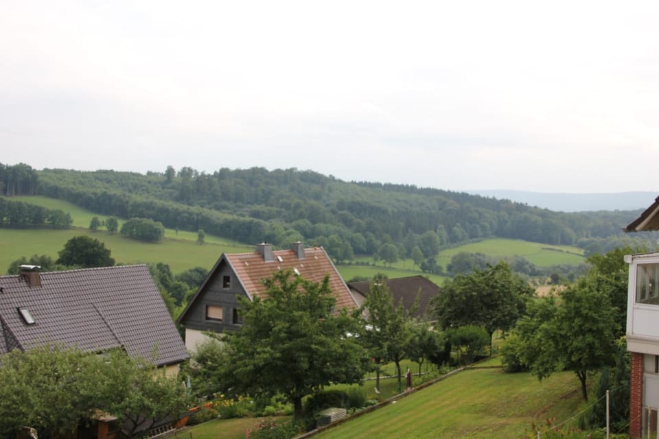 Natural landscape