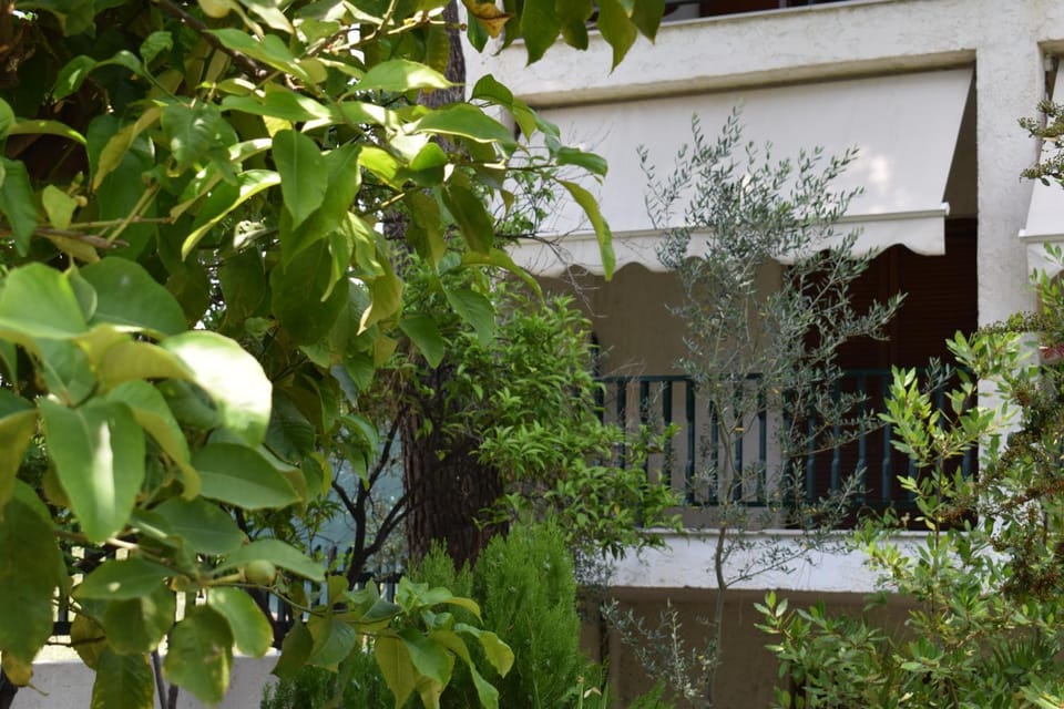 Alexander Apartment hotel in Halkidiki