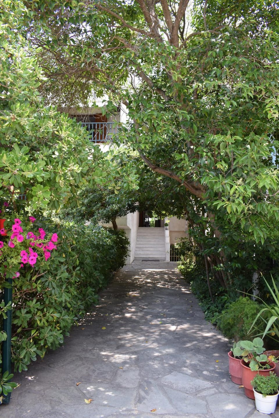 Alexander Apartment hotel in Halkidiki