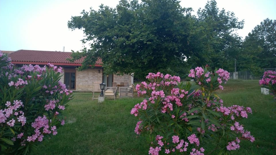 Property building, Garden