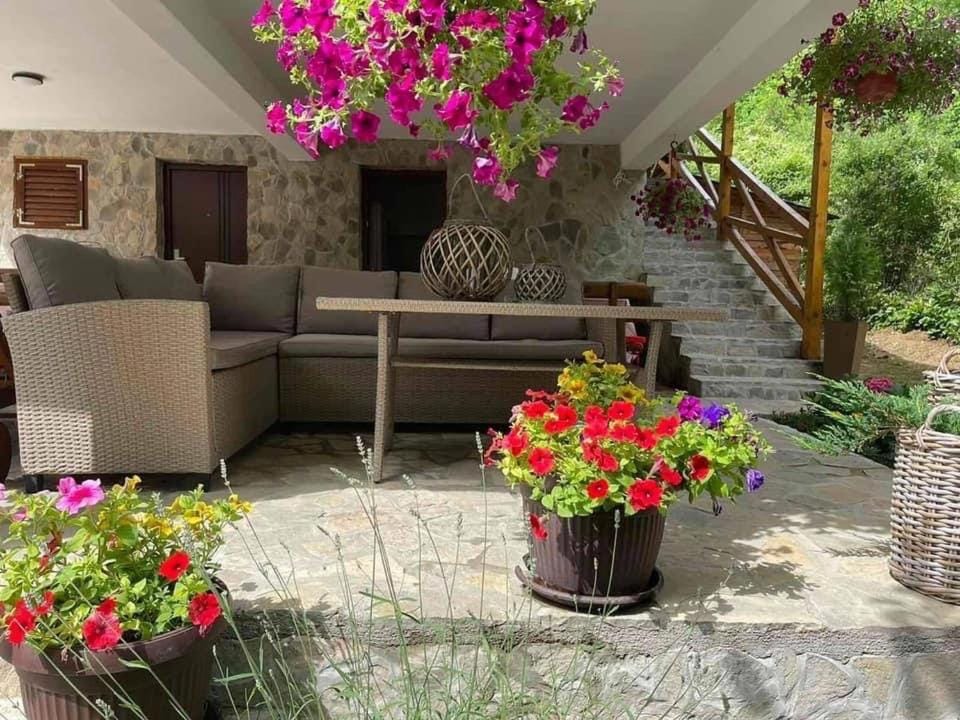 GOLD RIVER Villa in Bosnia and Herzegovina