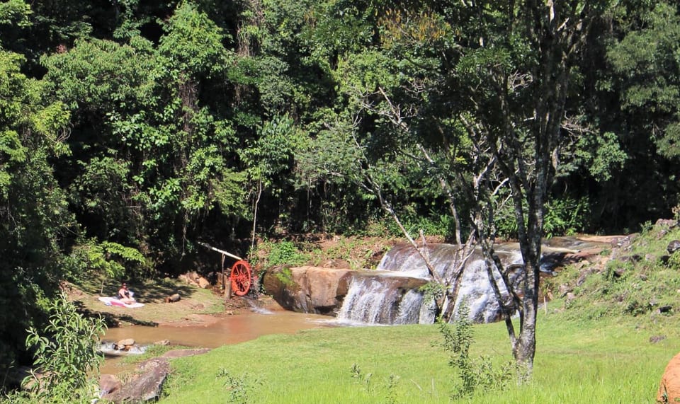 Garden, River view