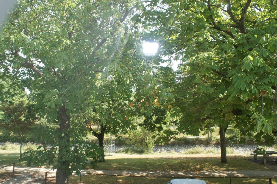 Spring, Natural landscape