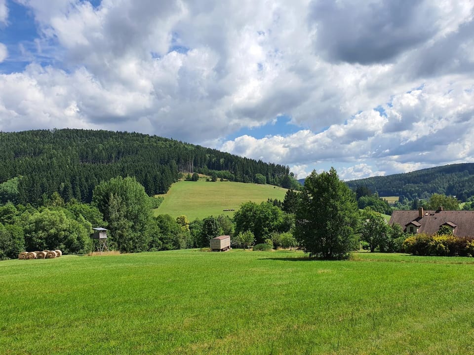 Natural landscape, Garden view