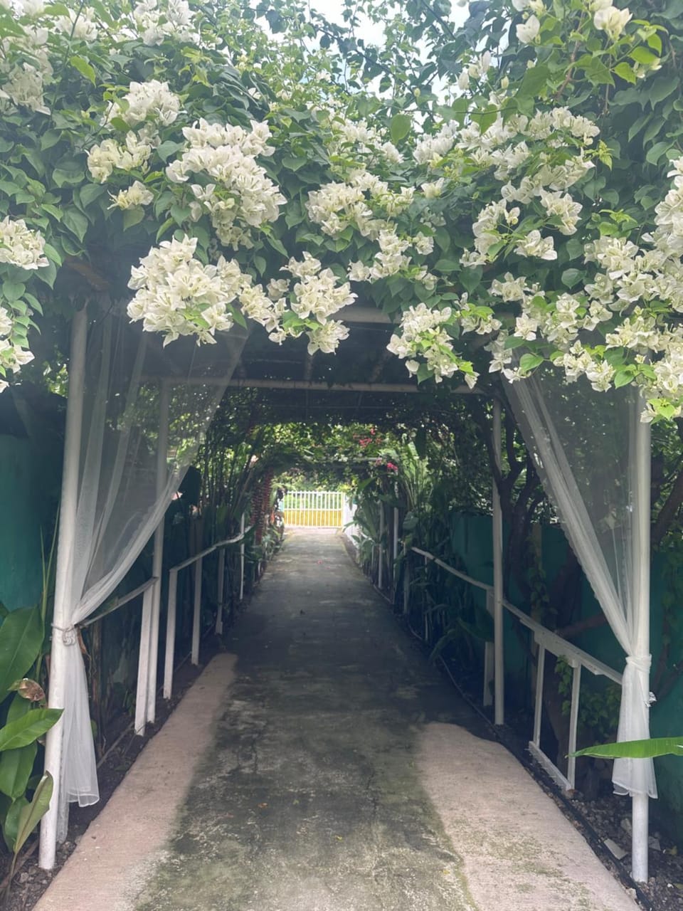 Maui's Place Hostel in Central Visayas