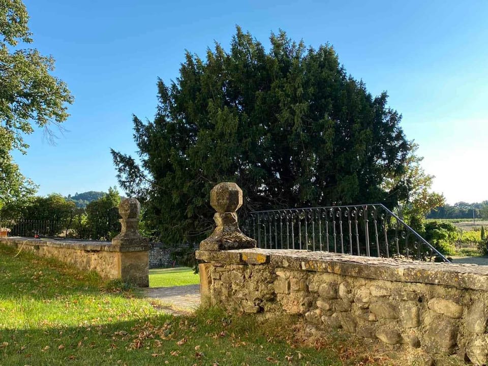 Inner courtyard view