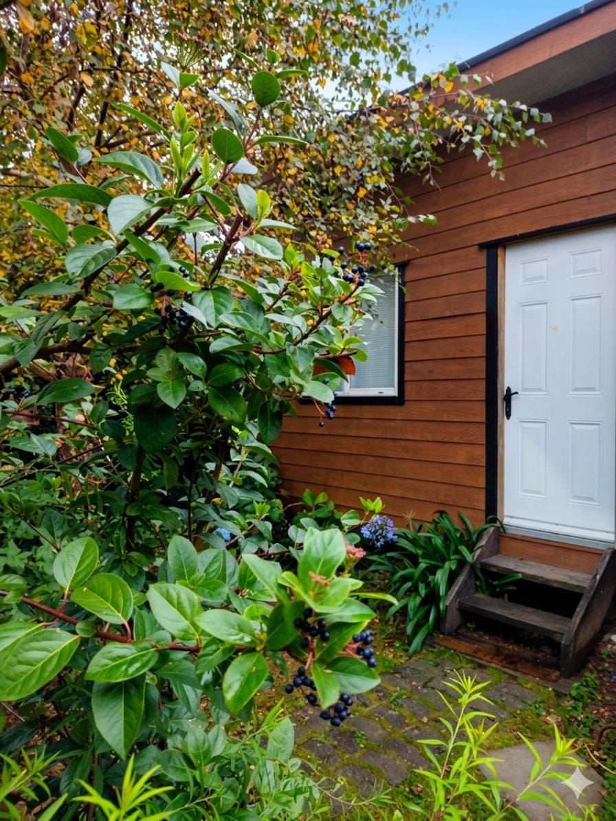 Borde Lago IV - V Apartment in Puerto Varas