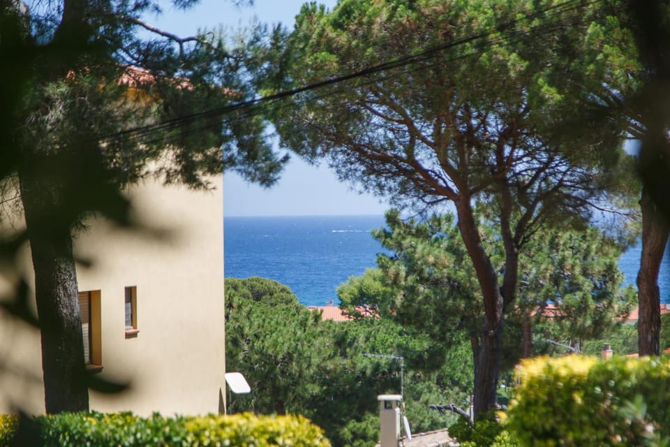 Natural landscape, View (from property/room), Beach, Landmark view, Sea view