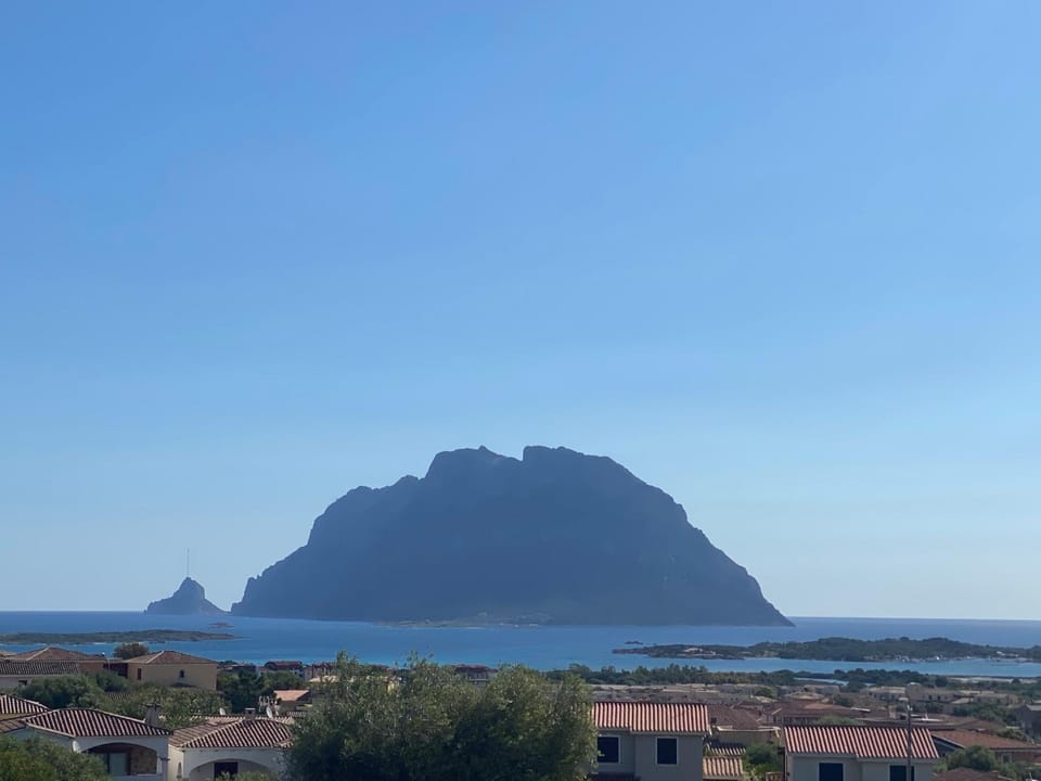 Sea view