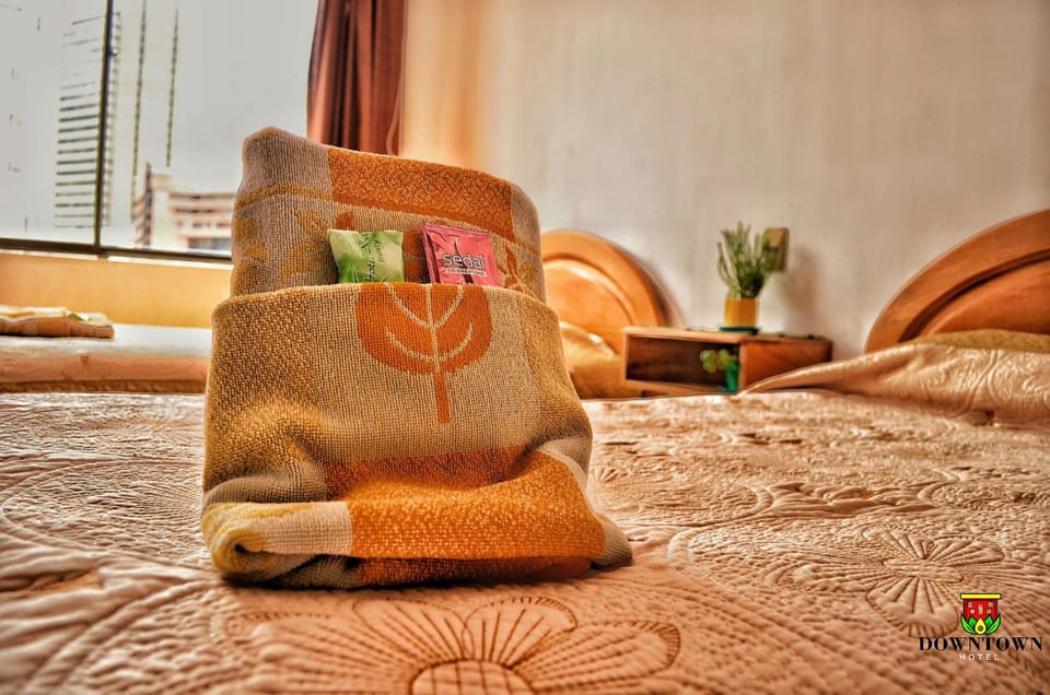 Downtown Hotel Hostel in La Paz