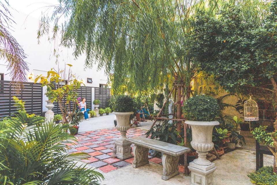 Garden