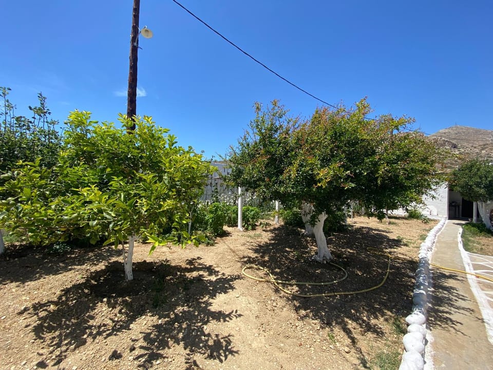 Michail Suites Afiartis Karpathos Apartment in Karpathos, 857 00, Greece
