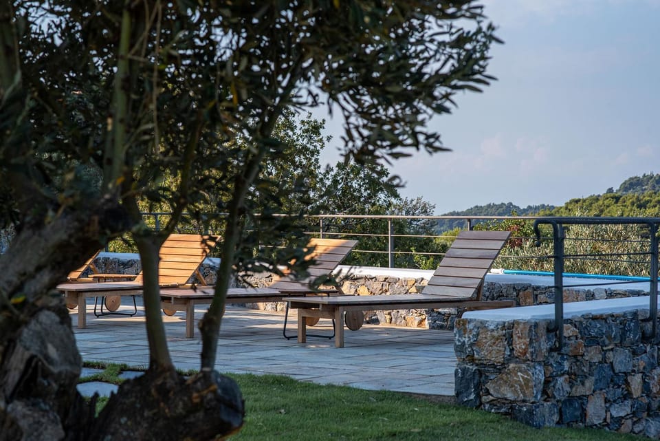 Garden, Garden view, Swimming pool, sunbed