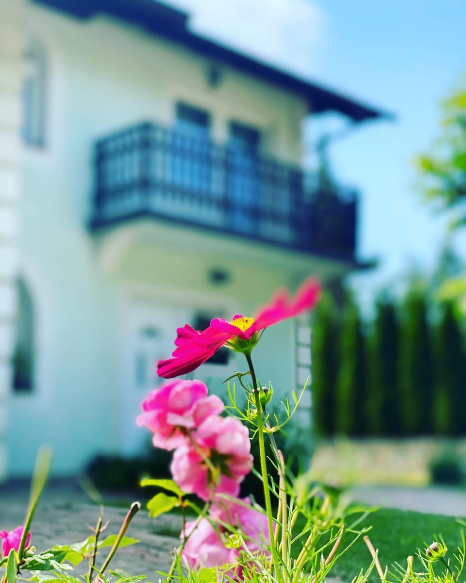 Property building, Facade/entrance, Garden