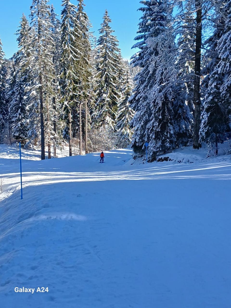 Day, Natural landscape, Winter