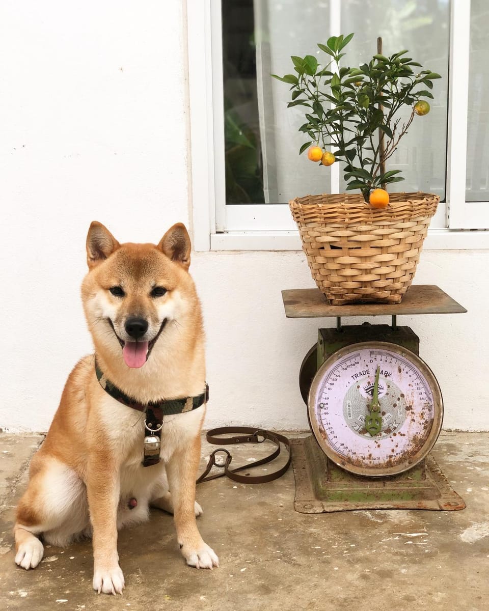 One Chan Farmstay Farm Stay in Thailand