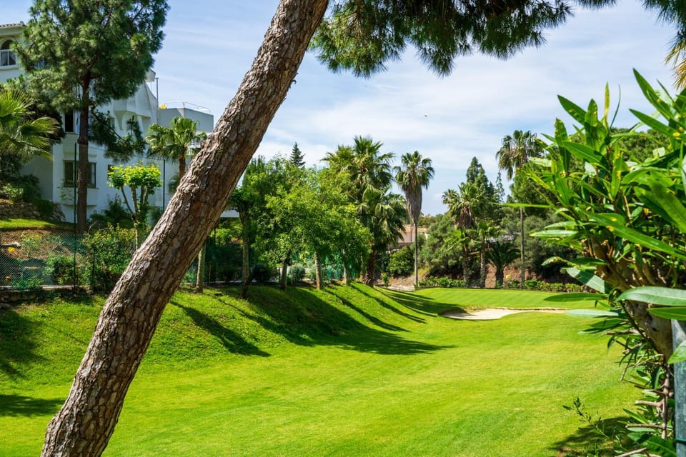 Natural landscape, Garden