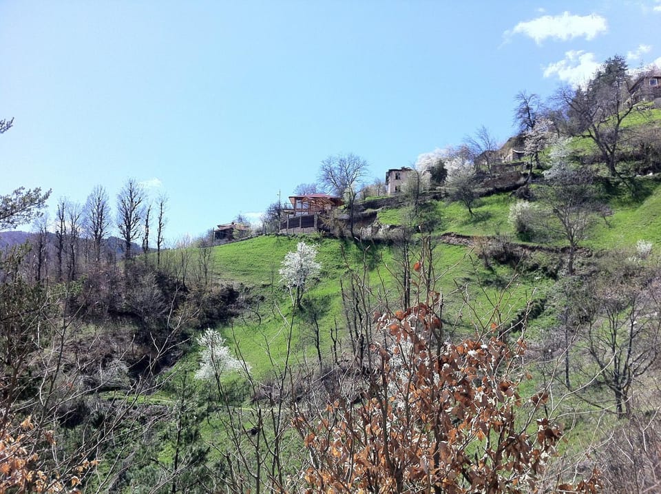 Mountain view
