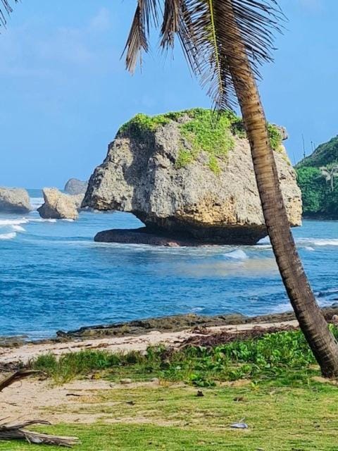 Nearby landmark, Day, Natural landscape, Beach, Sea view