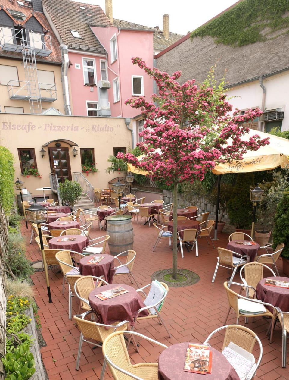 Restaurant/places to eat