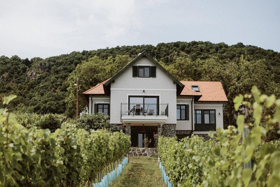 Éliás Borbirtok Vacation rental in Hungary