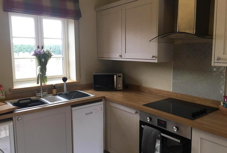 Kitchen or kitchenette, Photo of the whole room, Garden view