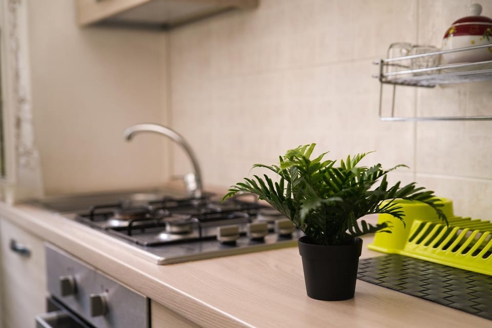 Camyhouse Apartment in Turin