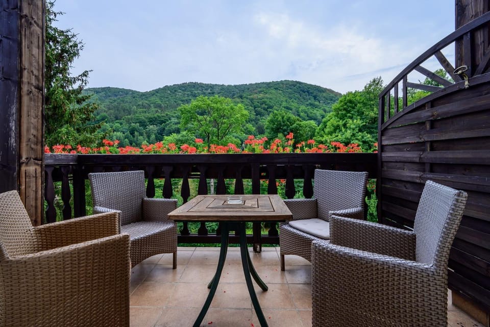 Balcony/Terrace, Mountain view