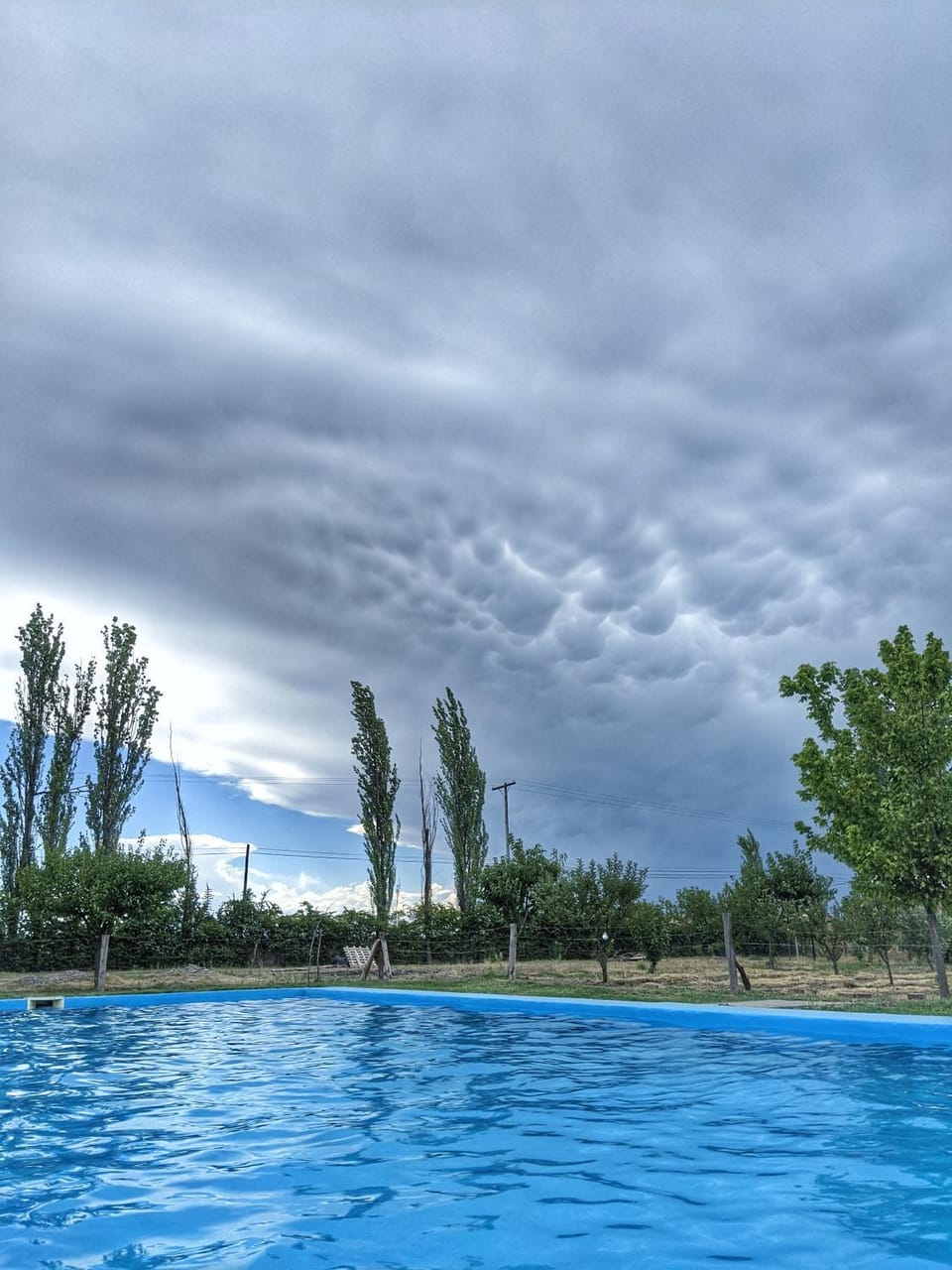 Swimming pool, Swimming pool