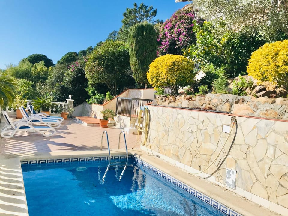 View (from property/room), Other, Swimming pool, sunbed