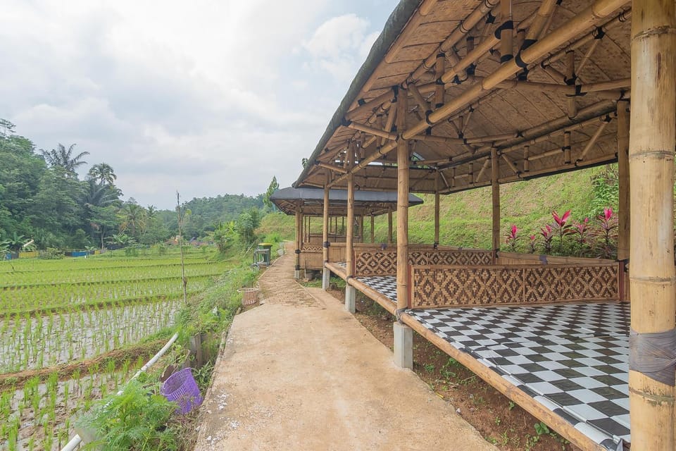 Patio, Garden