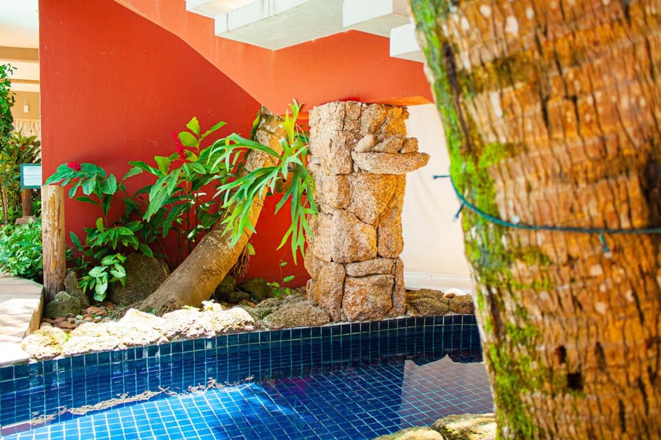 Vila Jabutis Bed and Breakfast in State of São Paulo