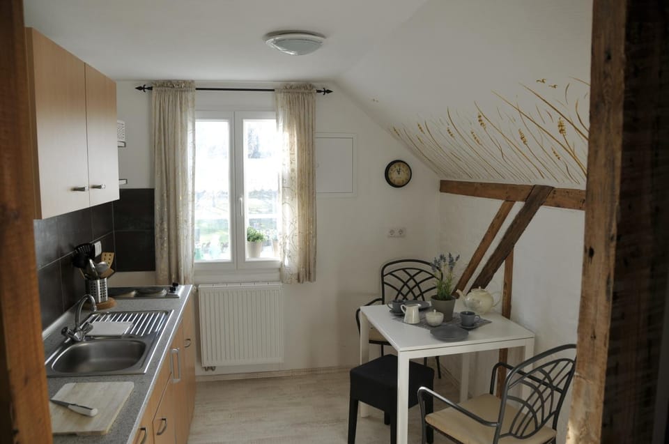 Traumfängerhaus Engel Apartment in Prerow